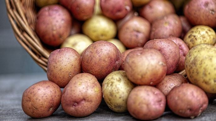 Patate