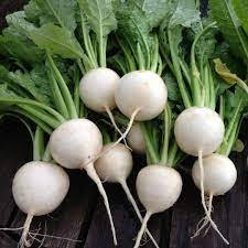 Rabiole 500g