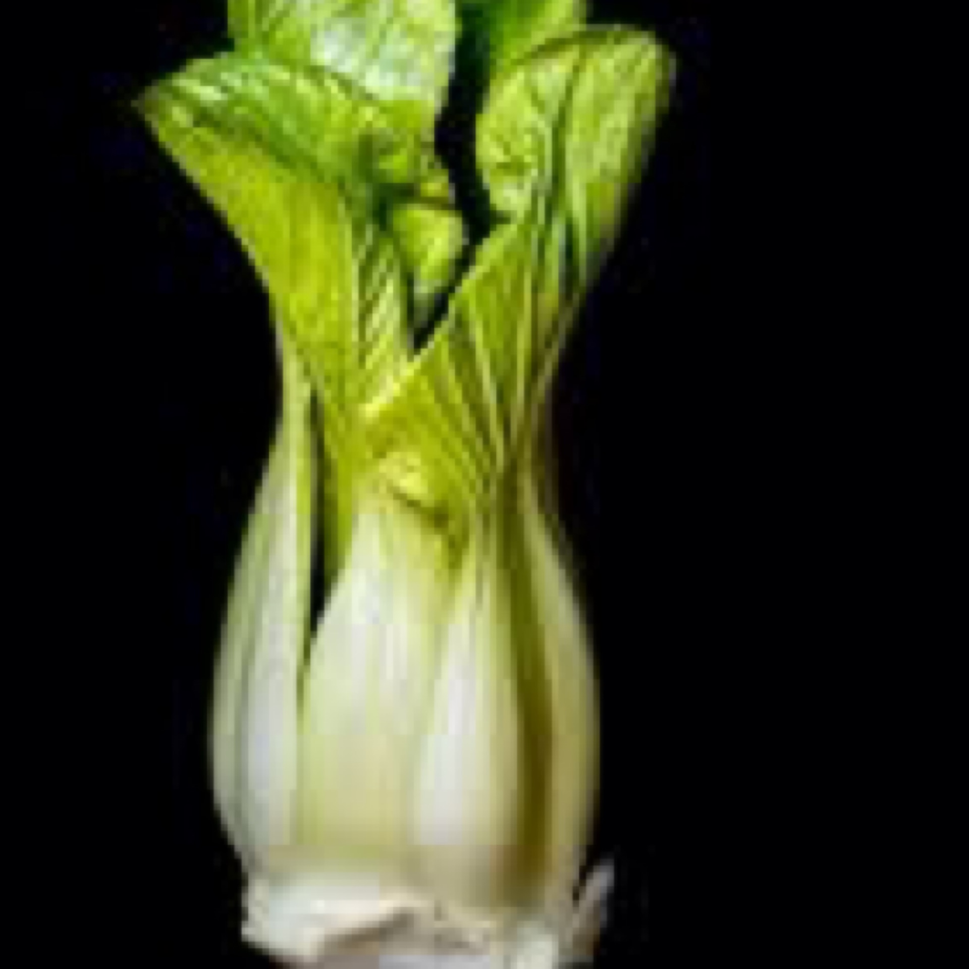 Bok Choi
