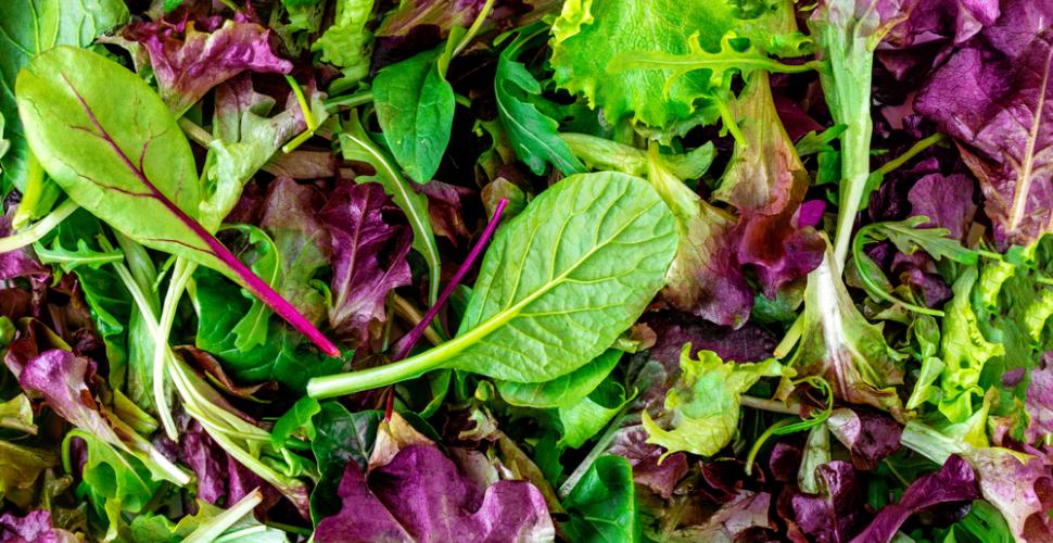 Mesclun gros