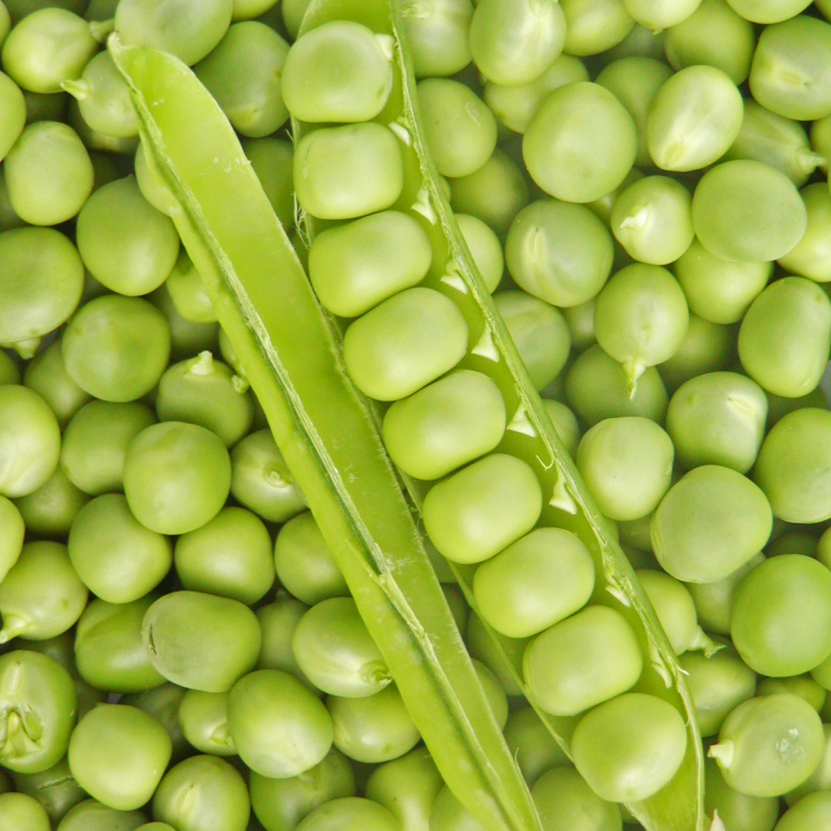 Pois à écosser
