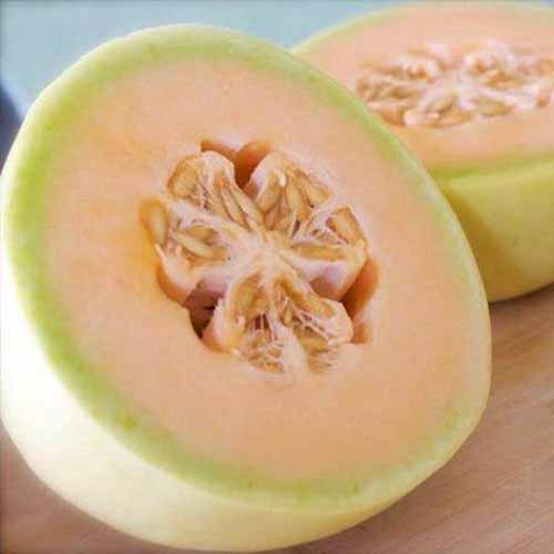 Melon miel