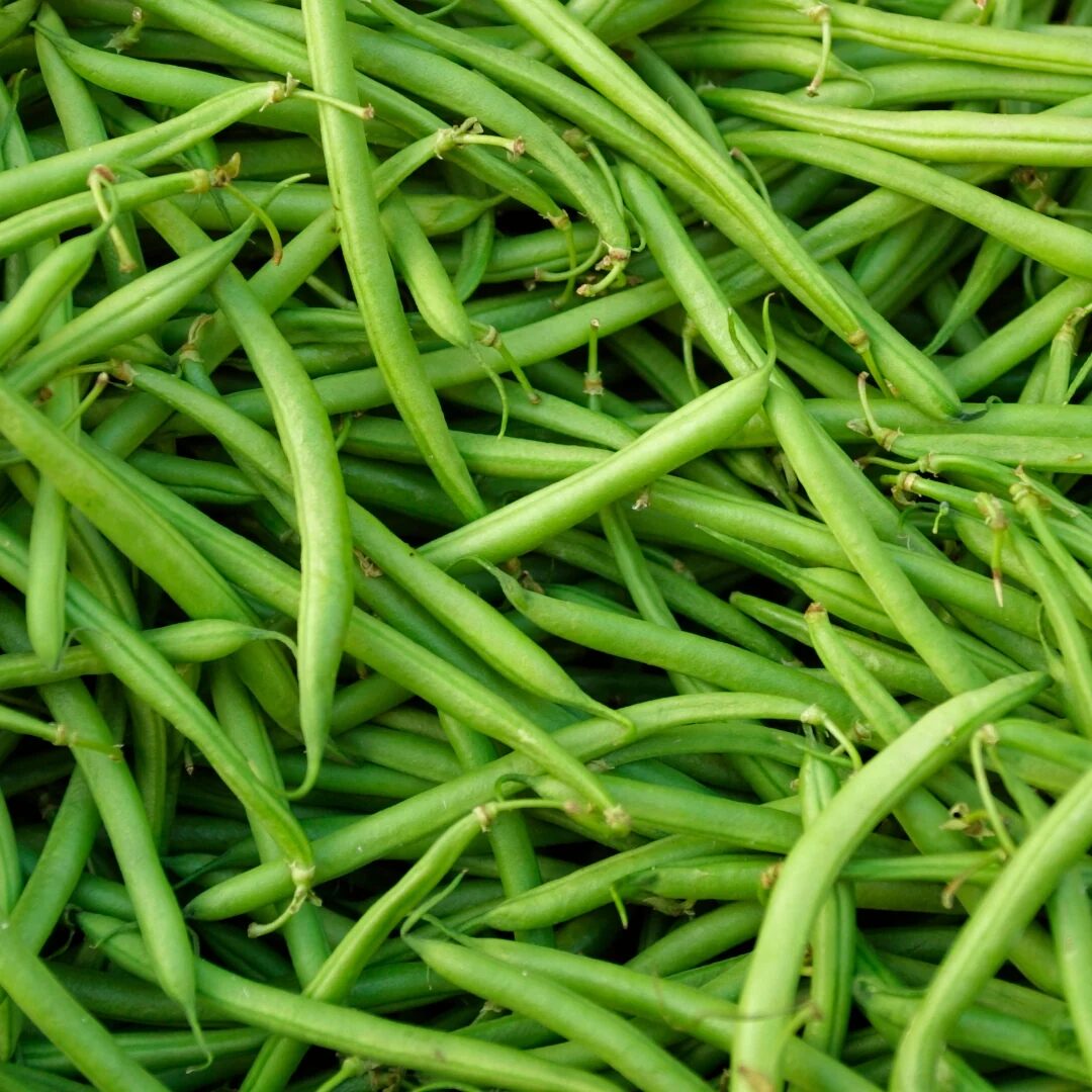 Haricots vert