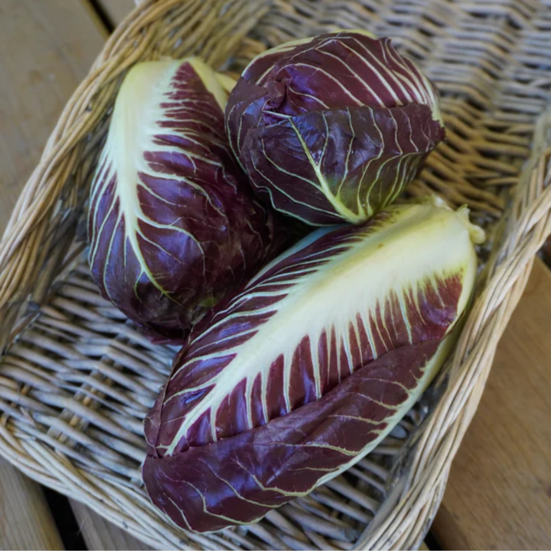 Chicorée rouge (radicchio)
