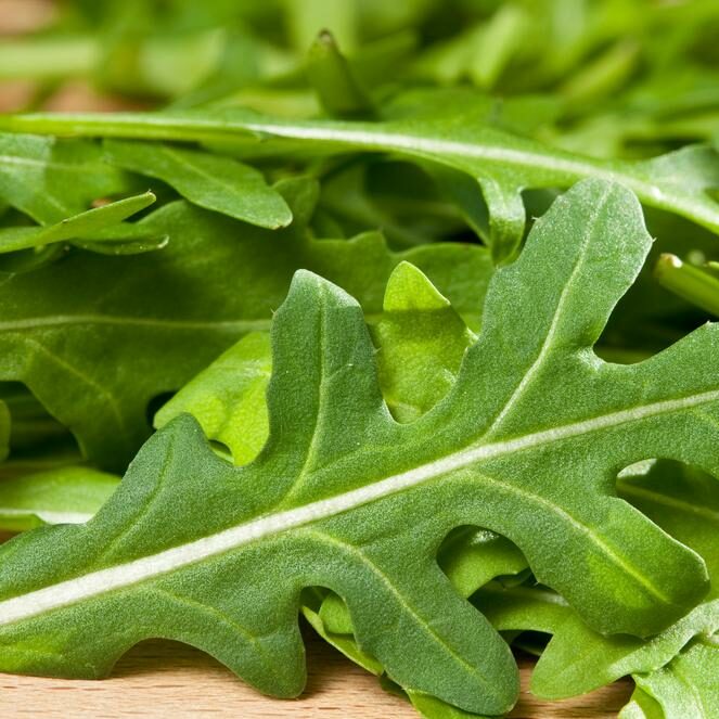 Roquette